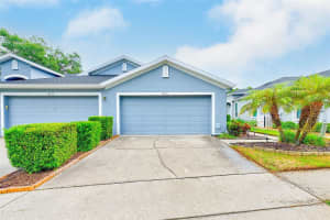 8531 Acorn Ridge Ct, TAMPA