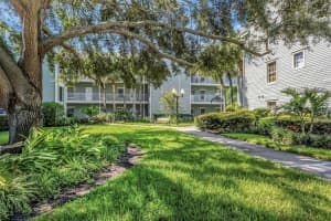 330 PROMENADE DRIVE, DUNEDIN, FL 34698 - MLS#MFRTB8421203