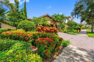1471 MARINELLA DRIVE, PALM HARBOR, FL 34683 - MLS#MFRTB8421221