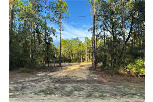 16072 MARSH QUAIL ROAD, WEEKI WACHEE, FL 34614 - MLS#MFRTB8421227