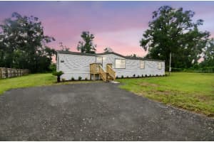 10003 BENJAMIN SMITH DRIVE, THONOTOSASSA, FL 33592 - MLS#MFRTB8421236