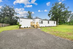 10003 BENJAMIN SMITH DRIVE, THONOTOSASSA, FL 33592 - MLS#MFRTB8421236
