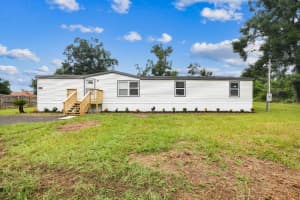 10003 BENJAMIN SMITH DRIVE, THONOTOSASSA, FL 33592 - MLS#MFRTB8421236