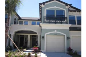 9109 Fox Sparrow Rd, TAMPA
