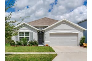 5539 WANDERING WILLOW DRIVE, WESLEY CHAPEL, FL 33545 - MLS#MFRTB8421259