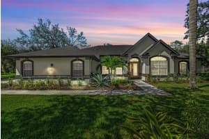 8804 CROSSWOOD COURT, RIVERVIEW, FL 33578 - MLS#MFRTB8421276
