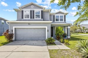14916 Berkford Ave, TAMPA