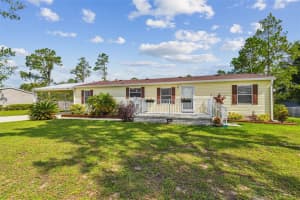 36053 ELLI WAY, DADE CITY, FL 33525 - MLS#MFRTB8421304