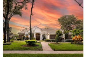 6023 Hammock Hill Ave, LITHIA
