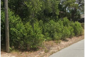 7291 RADCLIFF STREET, SPRING HILL, FL 34606 - MLS#MFRTB8421310