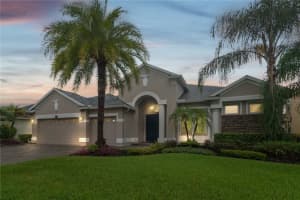16219 IVY LAKE DRIVE, ODESSA, FL 33556 - MLS#MFRTB8421320