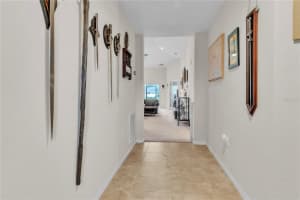 3703 PEREGRINE WAY, LAKELAND, FL 33811 - MLS#MFRTB8421350