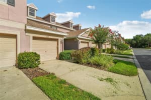 10110 TRANQUILITY WAY, TAMPA, FL 33625 - MLS#MFRTB8421367