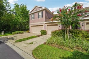 10110 TRANQUILITY WAY, TAMPA, FL 33625 - MLS#MFRTB8421367