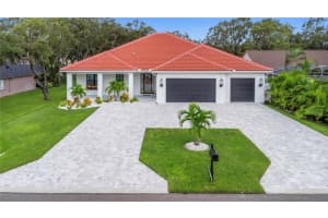 1125 W W Curlew Pl, TARPON SPRINGS
