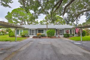 2206 Horsham Pl, SUN CITY CENTER