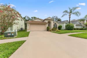 7743 BINGHAM COURT, TAMPA, FL 33625 - MLS#MFRTB8421397