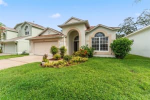 7743 BINGHAM COURT, TAMPA, FL 33625 - MLS#MFRTB8421397