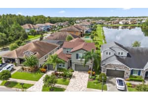 18006 PINE HAMMOCK BOULEVARD, LUTZ, FL 33548 - MLS#MFRTB8421418