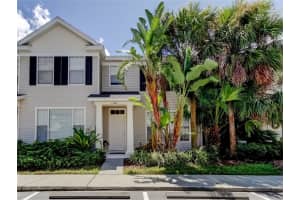 12446 Country White Cir, TAMPA