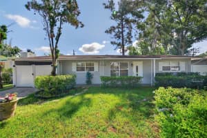 4516 S Renellie Dr, TAMPA