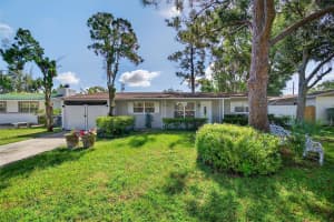 4516 RENELLIE DRIVE, TAMPA, FL 33611 - MLS#MFRTB8421438