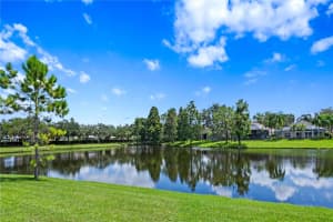 9912 STOCKBRIDGE DRIVE, TAMPA, FL 33626 - MLS#MFRTB8421443