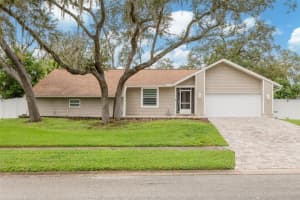 3088 Enisglen Dr, PALM HARBOR