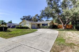 1404 CASTLEWORKS LANE, TARPON SPRINGS, FL 34689 - MLS#MFRTB8421479