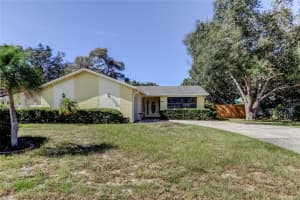 1404 CASTLEWORKS LANE, TARPON SPRINGS, FL 34689 - MLS#MFRTB8421479