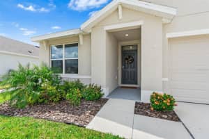 5871 HALEWOOD WAY, WESLEY CHAPEL, FL 33545 - MLS#MFRTB8421501