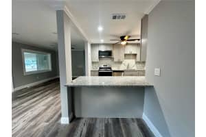 6032 SHEELIN DRIVE, NEW PORT RICHEY, FL 34653 - MLS#MFRTB8421516