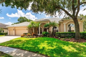 9117 Woodridge Run Dr, TAMPA