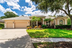 9117 WOODRIDGE RUN DRIVE, TAMPA, FL 33647 - MLS#MFRTB8421554