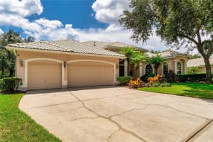 9117 WOODRIDGE RUN DRIVE, TAMPA, FL 33647 - MLS#MFRTB8421554