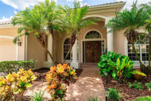 9117 WOODRIDGE RUN DRIVE, TAMPA, FL 33647 - MLS#MFRTB8421554
