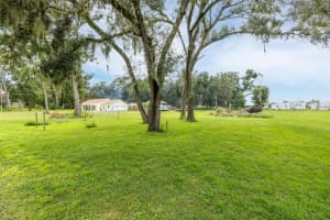 37409 NEIGHBORS PATH, ZEPHYRHILLS, FL 33542 - MLS#MFRTB8421580