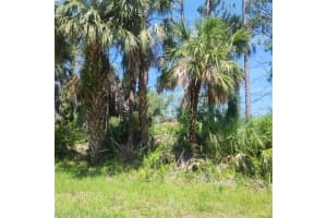 ALIBI TER, NORTH PORT, FL 34286 - MLS#MFRTB8421581