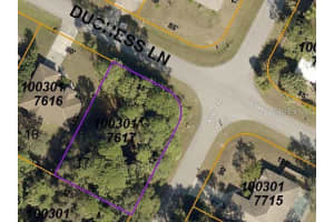 ALIBI TER, NORTH PORT, FL 34286 - MLS#MFRTB8421581