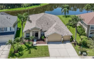 1135 Big Creek Dr, WESLEY CHAPEL