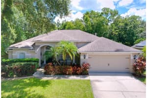 10615 Chambers Dr, TAMPA