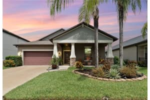 19165 Taviston Dr, LAND O LAKES