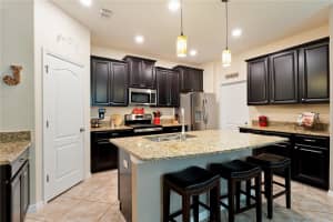 19165 TAVISTON DRIVE, LAND O LAKES, FL 34638 - MLS#MFRTB8421614