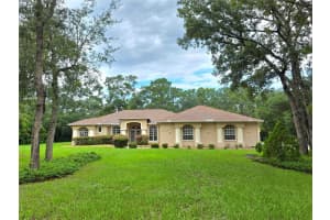 11415 Paramount Ave, WEEKI WACHEE