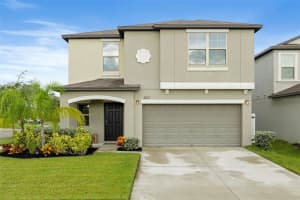 4311 Romano Busciglio St, TAMPA