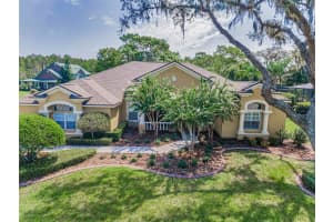 1400 LAKE POLO DRIVE, ODESSA, FL 33556 - MLS#MFRTB8421623
