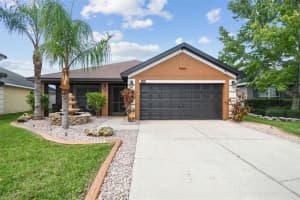 14344 Edinburgh Moor Dr, WIMAUMA