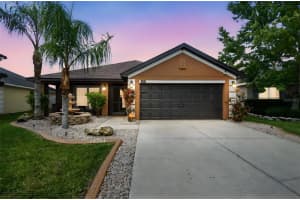14344 EDINBURGH MOOR DRIVE, WIMAUMA, FL 33598 - MLS#MFRTB8421646