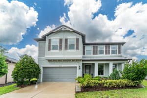 5214 Fallen Leaf Dr, RIVERVIEW
