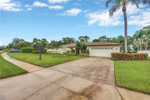 4311 Middle Lake Dr, TAMPA